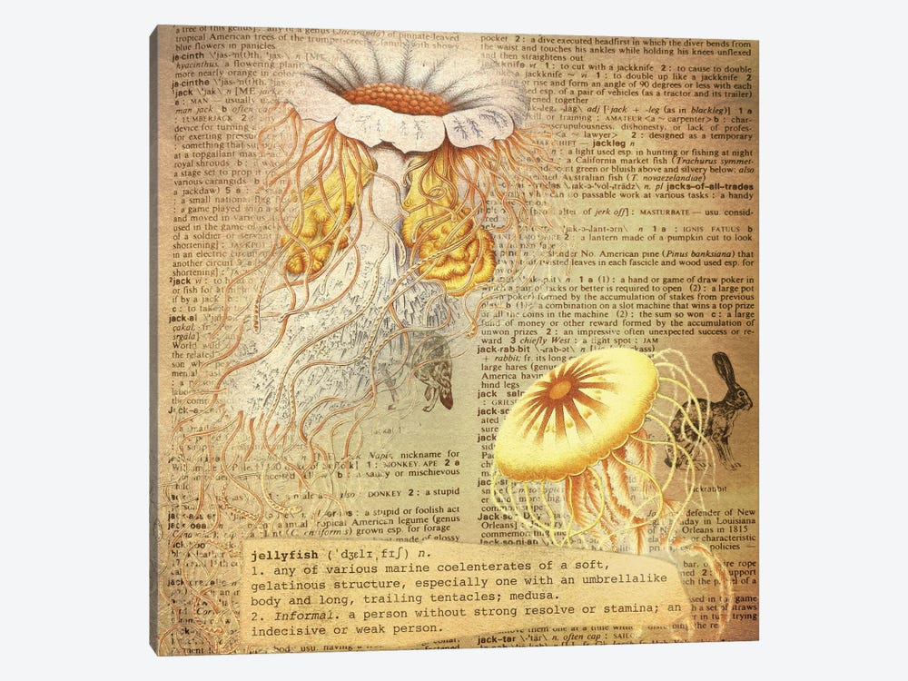 J - Jellyfish Square by 5by5collective 1-piece Canvas Wall Art