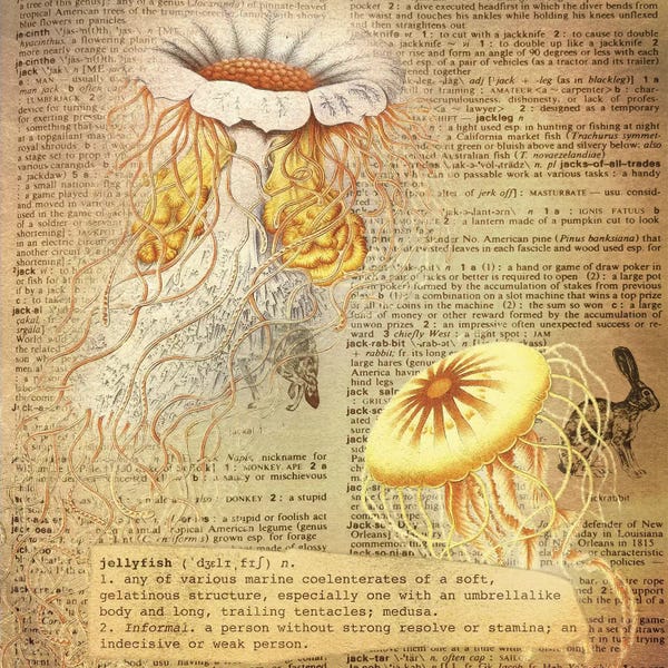 The Letter J: J - Jellyfish Square by 5by5collective