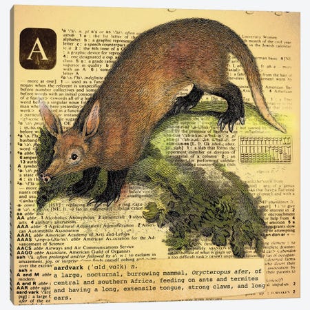 A - Aardvark Square Canvas Print #AALP1} by 5by5collective Art Print