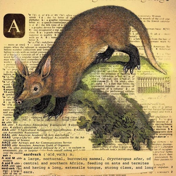 Aardvarks