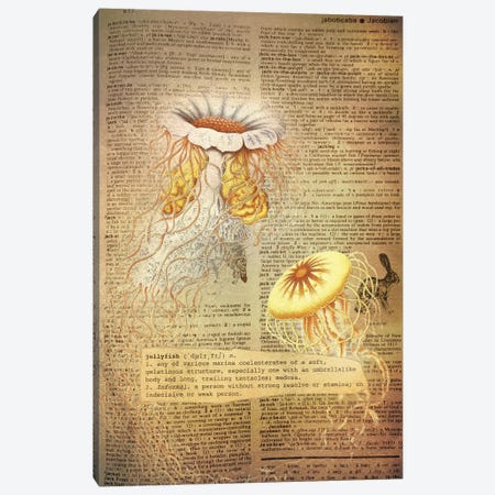 J - Jellyfish Canvas Print #AALP20} by 5by5collective Canvas Wall Art