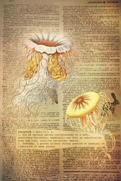 Jellyfish: J - Jellyfish by 5by5collective