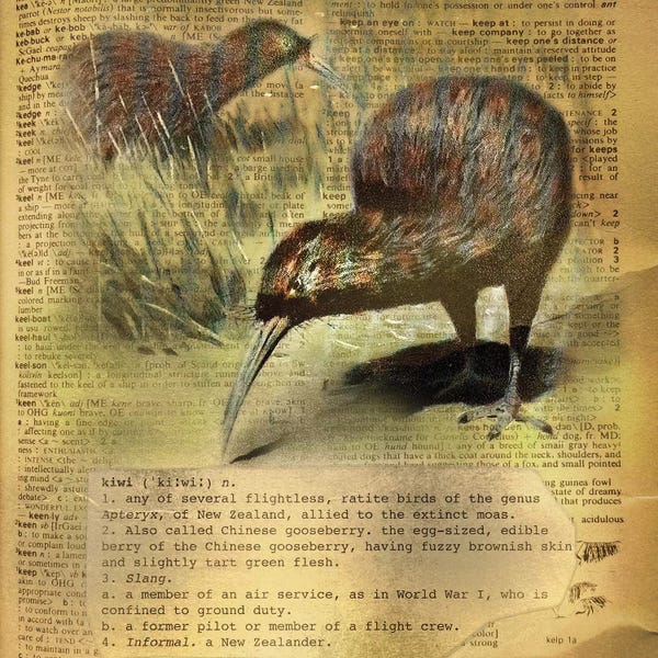 The Letter K: K - Kiwi Square by 5by5collective