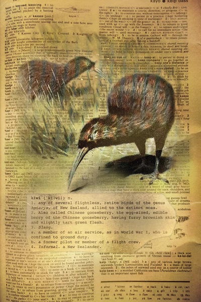 Alphabet: K - Kiwi by 5by5collective