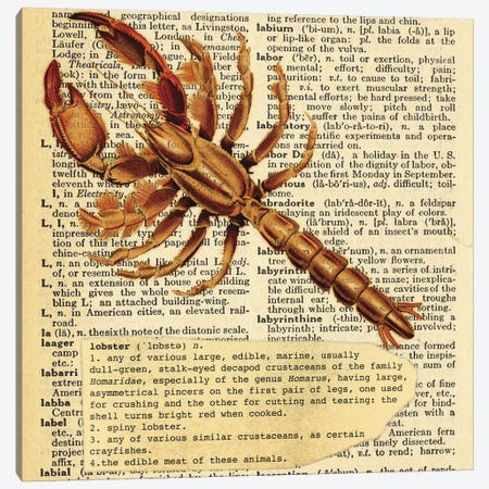 L - Lobster Square Canvas Print #AALP23} by 5by5collective Canvas Artwork
