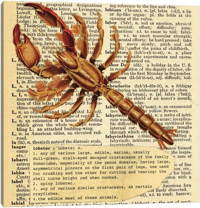 L - Lobster Square Canvas Art Print - Alphabetical Animalia