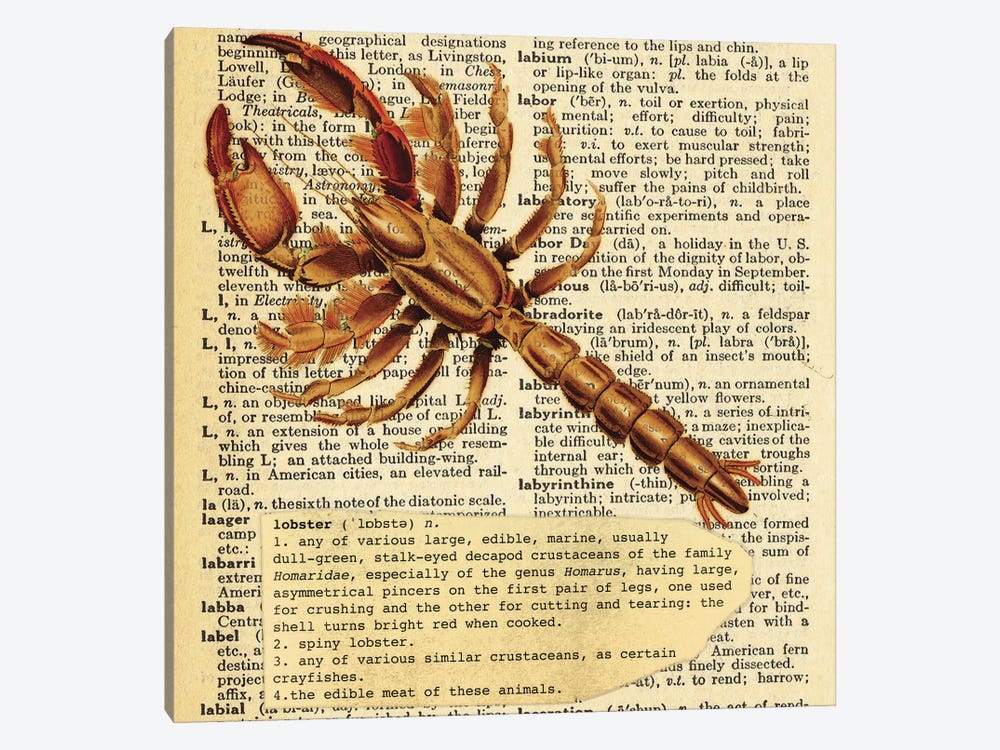 L - Lobster Square by 5by5collective 1-piece Canvas Art Print