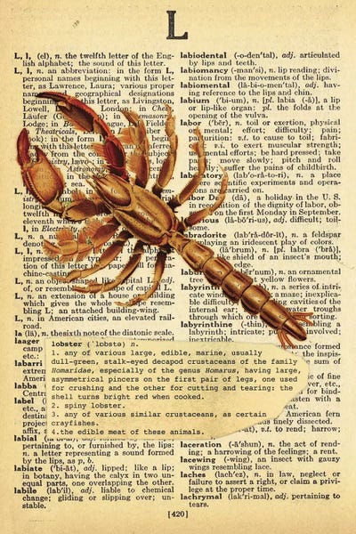 Lobsters: L - Lobster by 5by5collective