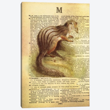M - Mongoose Canvas Print #AALP26} by 5by5collective Canvas Print