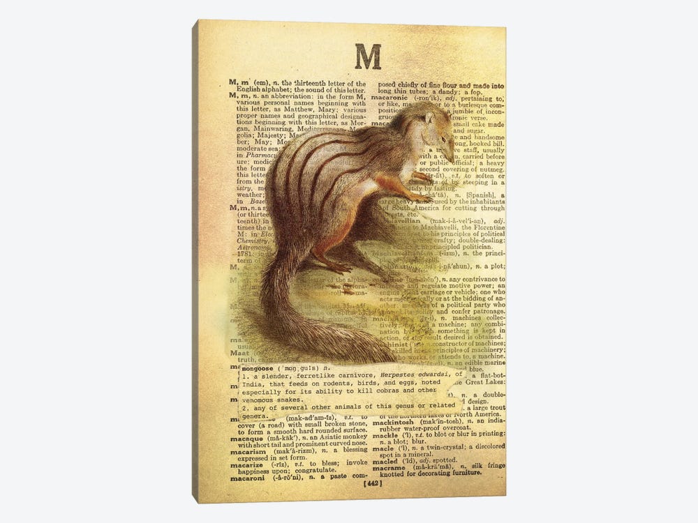 M - Mongoose by 5by5collective 1-piece Canvas Wall Art