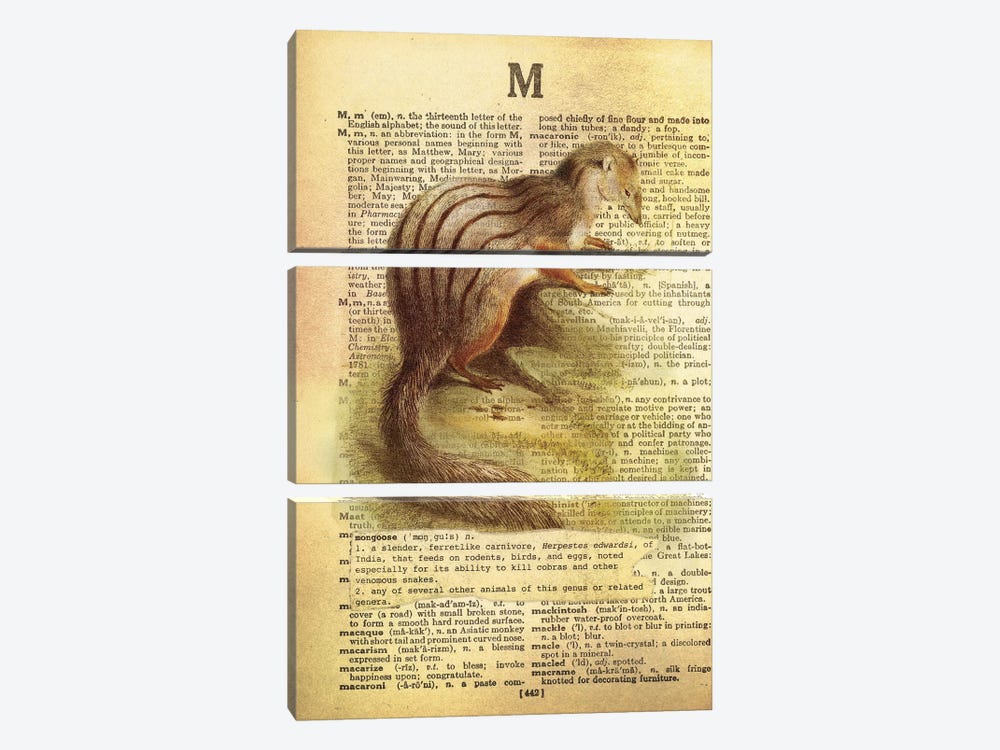 M - Mongoose by 5by5collective 3-piece Canvas Artwork