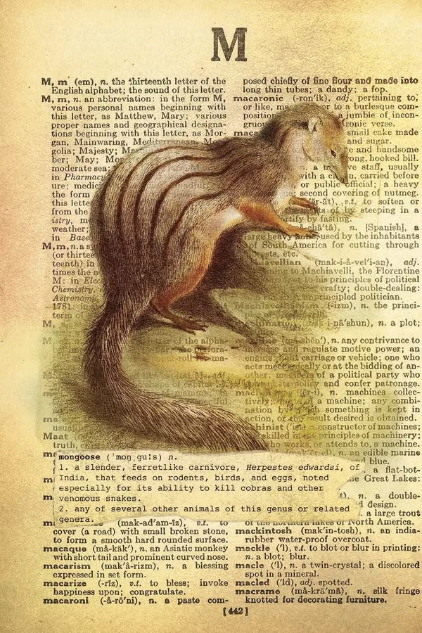 Mongooses