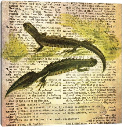 N - Newt Square Canvas Art Print - Salamander Art