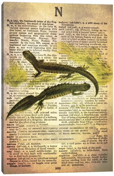 N - Newt Canvas Art Print - Salamander Art