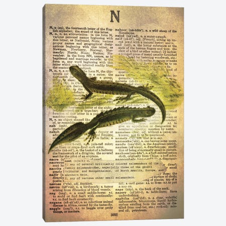 N - Newt Canvas Print #AALP28} by 5by5collective Canvas Artwork