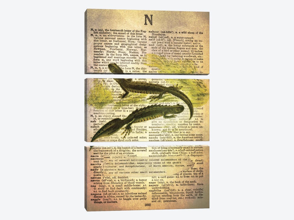 N - Newt by 5by5collective 3-piece Canvas Art