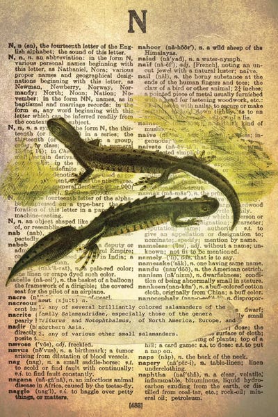 N - Newt