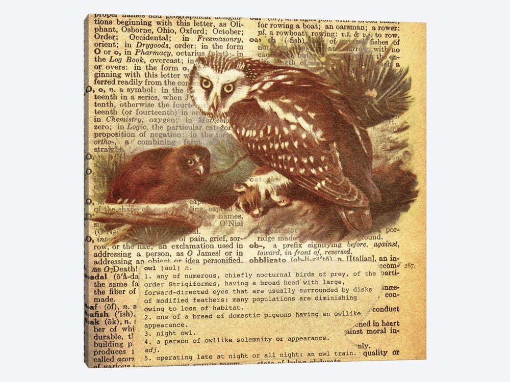 O - Owl Square by 5by5collective 1-piece Art Print