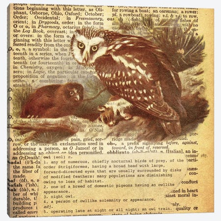 O - Owl Square Canvas Print #AALP29} by 5by5collective Canvas Artwork