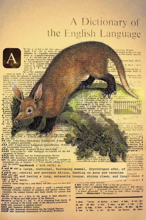 A - Aardvark