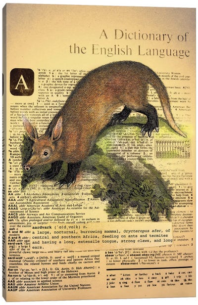 A - Aardvark Canvas Art Print - Alphabetical Animalia