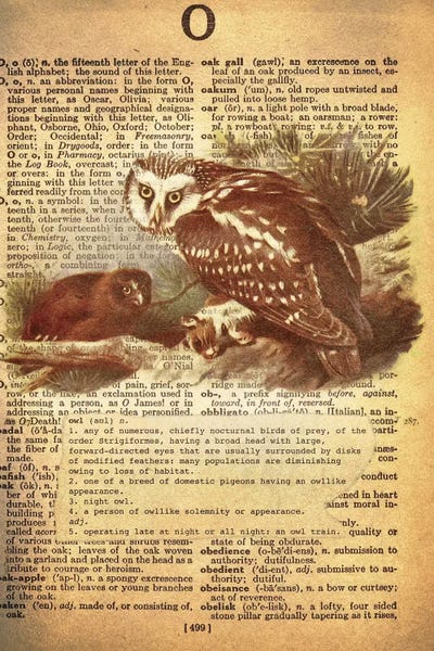 The Letter O: O - Owl by 5by5collective
