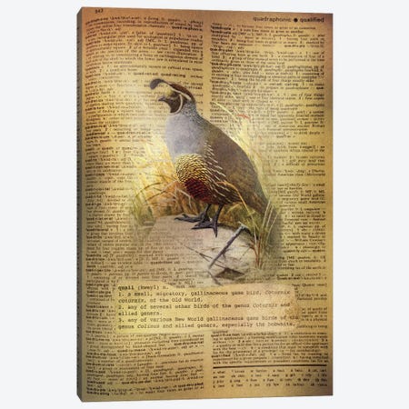 Q - Quail Canvas Print #AALP34} by 5by5collective Canvas Wall Art