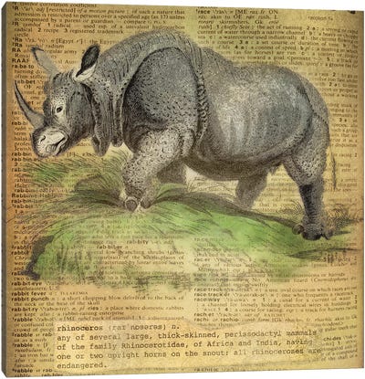R - Rhino Square Canvas Art Print - Rhinoceros Art
