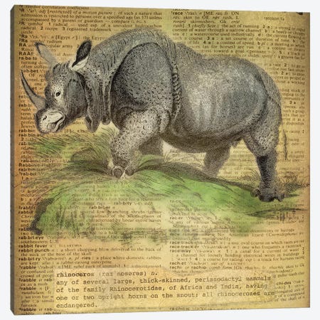 R - Rhino Square Canvas Print #AALP35} by 5by5collective Canvas Art