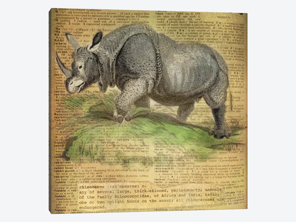 R - Rhino Square by 5by5collective 1-piece Canvas Wall Art
