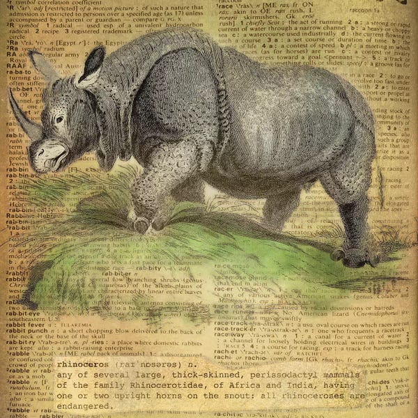 Rhinoceroses: R - Rhino Square by 5by5collective