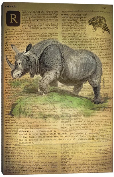 R - Rhino Canvas Art Print - Rhinoceros Art