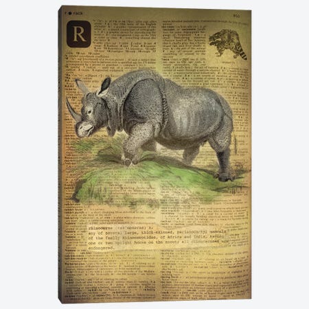 R - Rhino Canvas Print #AALP36} by 5by5collective Canvas Artwork