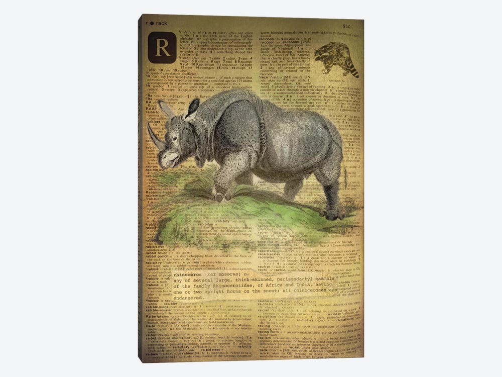 R - Rhino by 5by5collective 1-piece Canvas Print