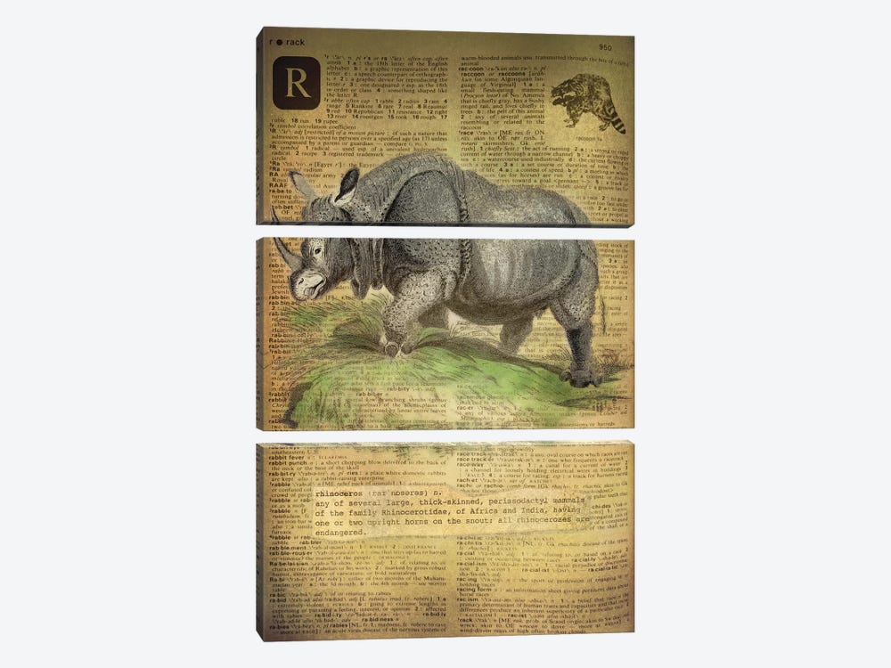 R - Rhino by 5by5collective 3-piece Art Print