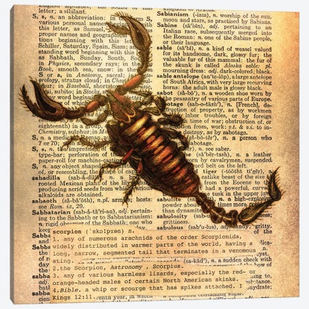 S - Scorpion Square Canvas Print #AALP37} by 5by5collective Canvas Artwork