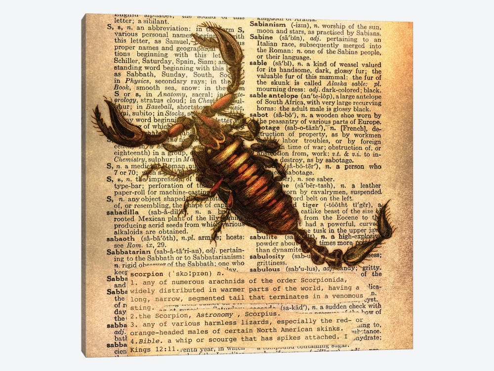 S - Scorpion Square by 5by5collective 1-piece Canvas Art
