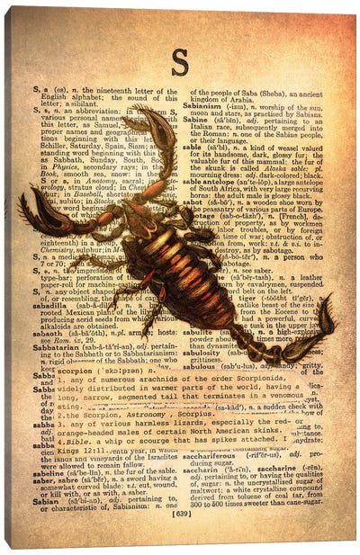 S - Scorpion Canvas Art Print - Book Art