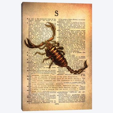 S - Scorpion Canvas Print #AALP38} by 5by5collective Canvas Print