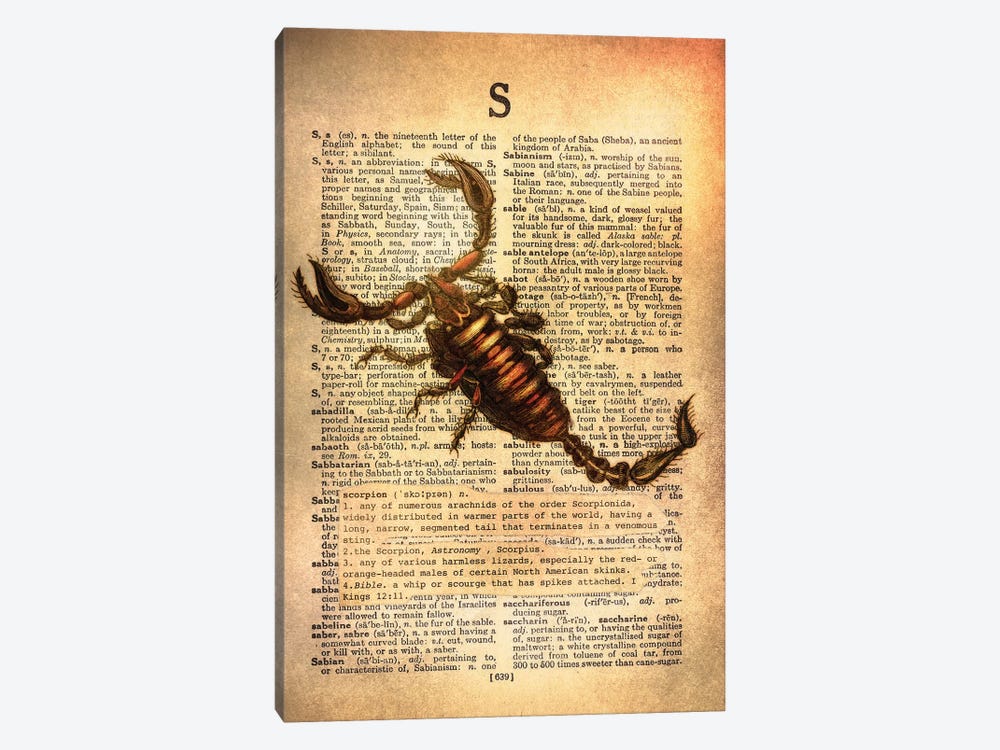 S - Scorpion by 5by5collective 1-piece Art Print