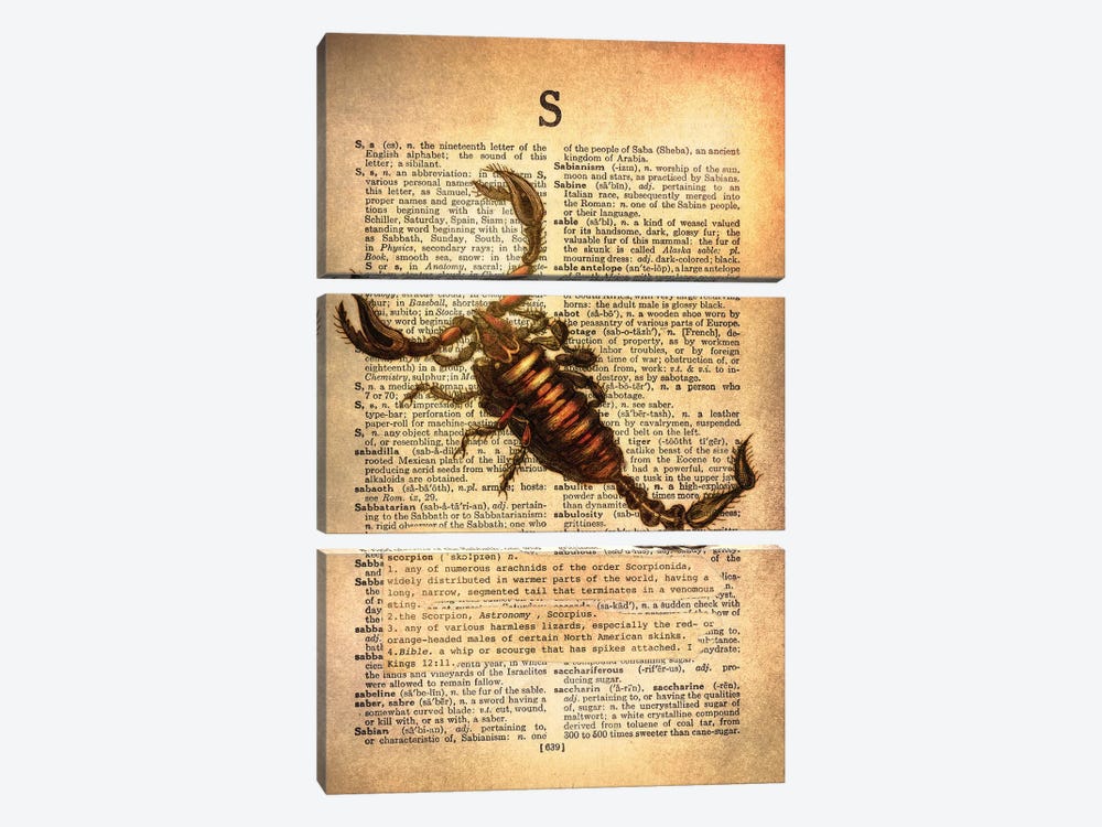 S - Scorpion by 5by5collective 3-piece Canvas Art Print