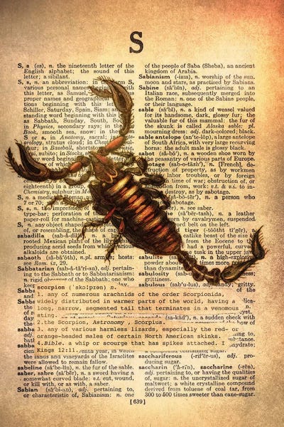 Scorpions: S - Scorpion by 5by5collective