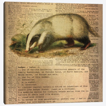 B - Badger Square Canvas Print #AALP3} by 5by5collective Canvas Print