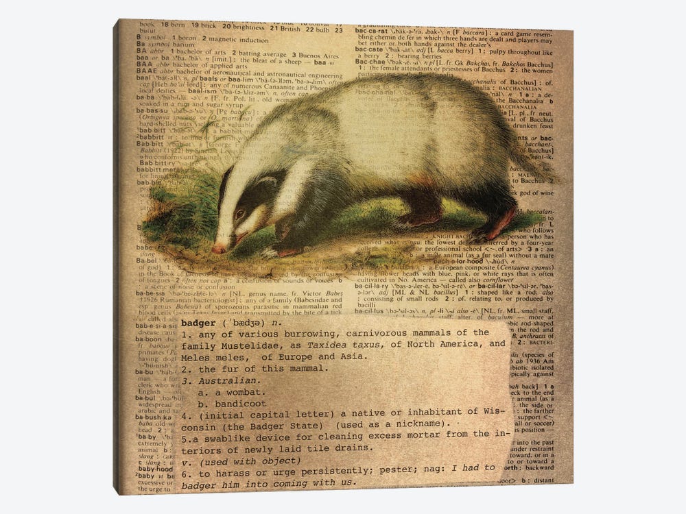 B - Badger Square by 5by5collective 1-piece Canvas Art Print