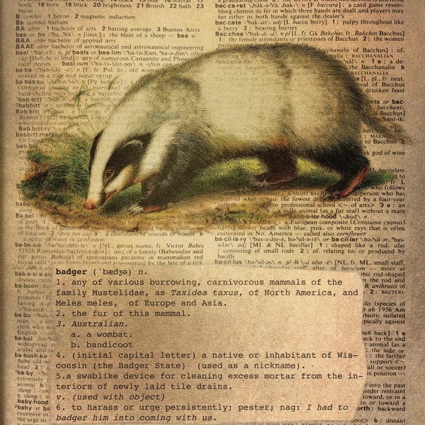 Badgers: B - Badger Square by 5by5collective