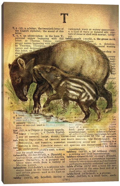 T - Tapir Canvas Art Print - Alphabetical Animalia