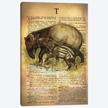 T - Tapir Canvas Print #AALP40} by 5by5collective Canvas Artwork