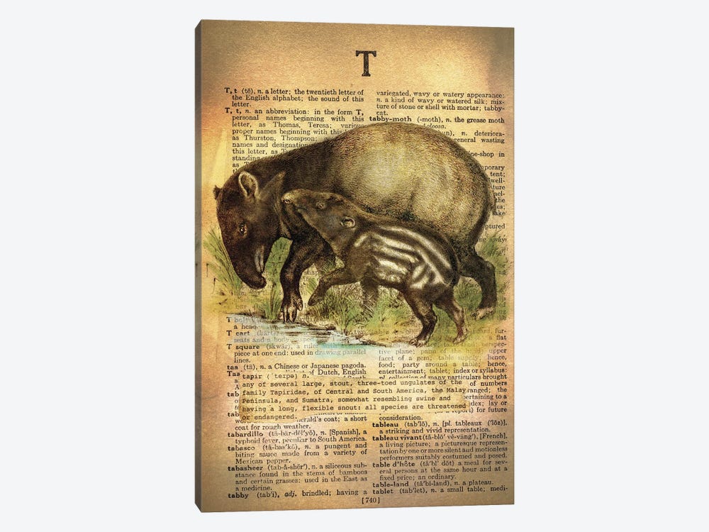 T - Tapir by 5by5collective 1-piece Canvas Art