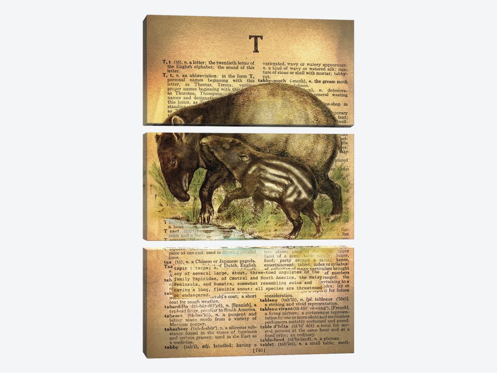 T - Tapir by 5by5collective 3-piece Canvas Artwork