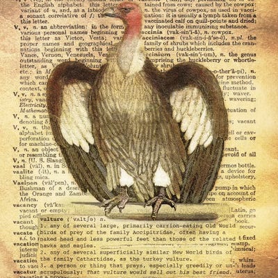 V - Vulture Square by 5by5collective art print